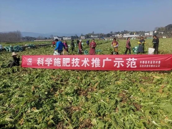 圖片2.jpg